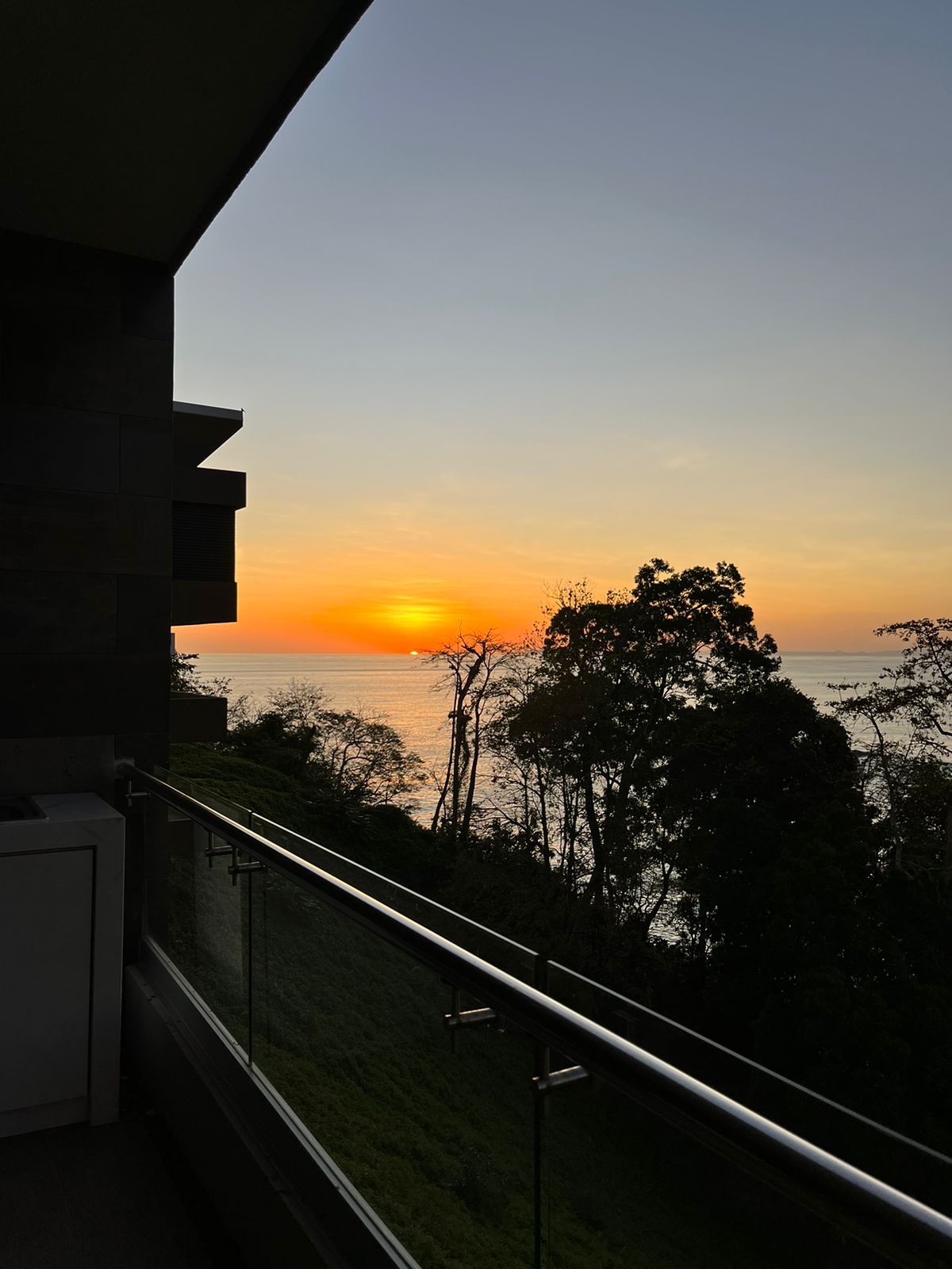 Gallery image with a fresh perspective